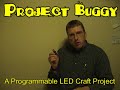Buggy, a Crafty Electronic LED Project