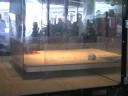Assembly Summer 08 Robosota 150 g Finals: SikaKyösti vs Micr