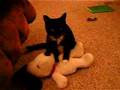 Talulah Gosh and Snoopy