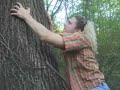 Deaf Movie- \"The Famous Tree Climber\" Deaf Movie- \"The Famous Tree Climber\"