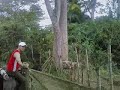 Caballo