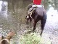 Caballo
