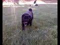 Marley at Fairwood Elem.