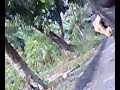 AEG AK47 SHOOTING AEG AK47 SHOOTING