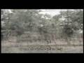 Hezbollah and Amal Inter-Sectarian War 1987