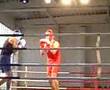 gala kingboxingu 2008 w pułtusku