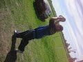 RAGBY 2007 ASARC