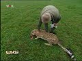 Barsaja Barsaja