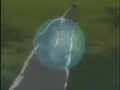 Wolf's Rain - Colours of the wind