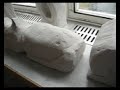 Sochy v na?í výtvarn? Sochy v na?í výtvarn?