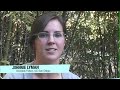 Socrates Fellow - Johnnie Lyman