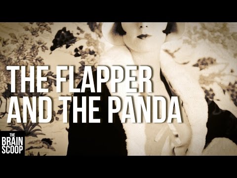 The Flapper and the Panda