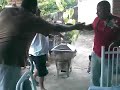 A dança da Abelha