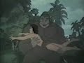 Tarzan Lord of the Jungle TV cartoon intro (1976)