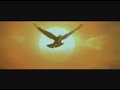 CREPUSCULE / TWILIGHT. AMDSFILMS