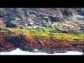 Harvester- The California Urchin Diver Experience Pt.1