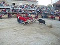 Capeia FOIOS - Ultimo touro de 2008