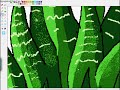Speed Paint - Aloe Vera Speed Paint - Aloe Vera
