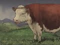 exploding cow