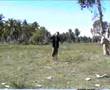 Lembu (Pok Nik Man)