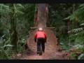 Freeride