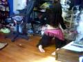 BUNNIE DANCE 6 (BACK BEND)