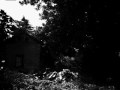 Stocker Farms Field of Screams 2009 Trailer: Carnival of Carnage