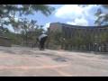 videos de ZOOBANK   promo 2
