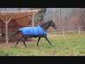 Jessy´s Geburtstagsvideo Jessy´s Geburtstagsvideo