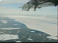 Giant Chunks Break Off Canadian Ice Shelf- 7/29/08