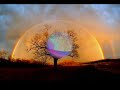 Bonnie Taylor - Total eclipse of the hearth Turn around Bonnie Taylor - Total eclipse of the hearth Turn around