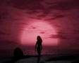 Bonnie Taylor - Total eclipse of the hearth Turn around
