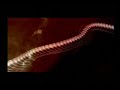 METAL GEAR SOLID 3: SNAKE EATER INTRO MOVIE (2004) METAL GEAR SOLID 3: SNAKE EATER INTRO MOVIE (2004)