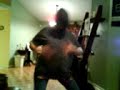 Bill Belichick Hoodie Dance