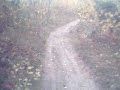 kfx 700 vforce on tight trail helmet cam