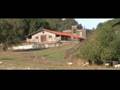 Il gregge e il lago - Giulianello (Lt)