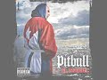 fuego   don omar feat pitbull