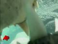 Raw Video: Crocodiles Up Close