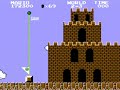 captured from an actual nes console and cartridge. for more information on this title: www.nesguide.com