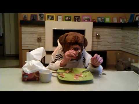Dogue de Bordeaux
