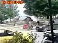 bobcat