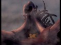 lion-king-church-not-good-copy.html