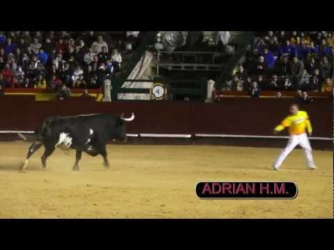 raton - VALENCIA FALLAS 15-3-2013 SALTO AL TORO RATON Y TORO BOTONERO (PANCHITO-JOEL)