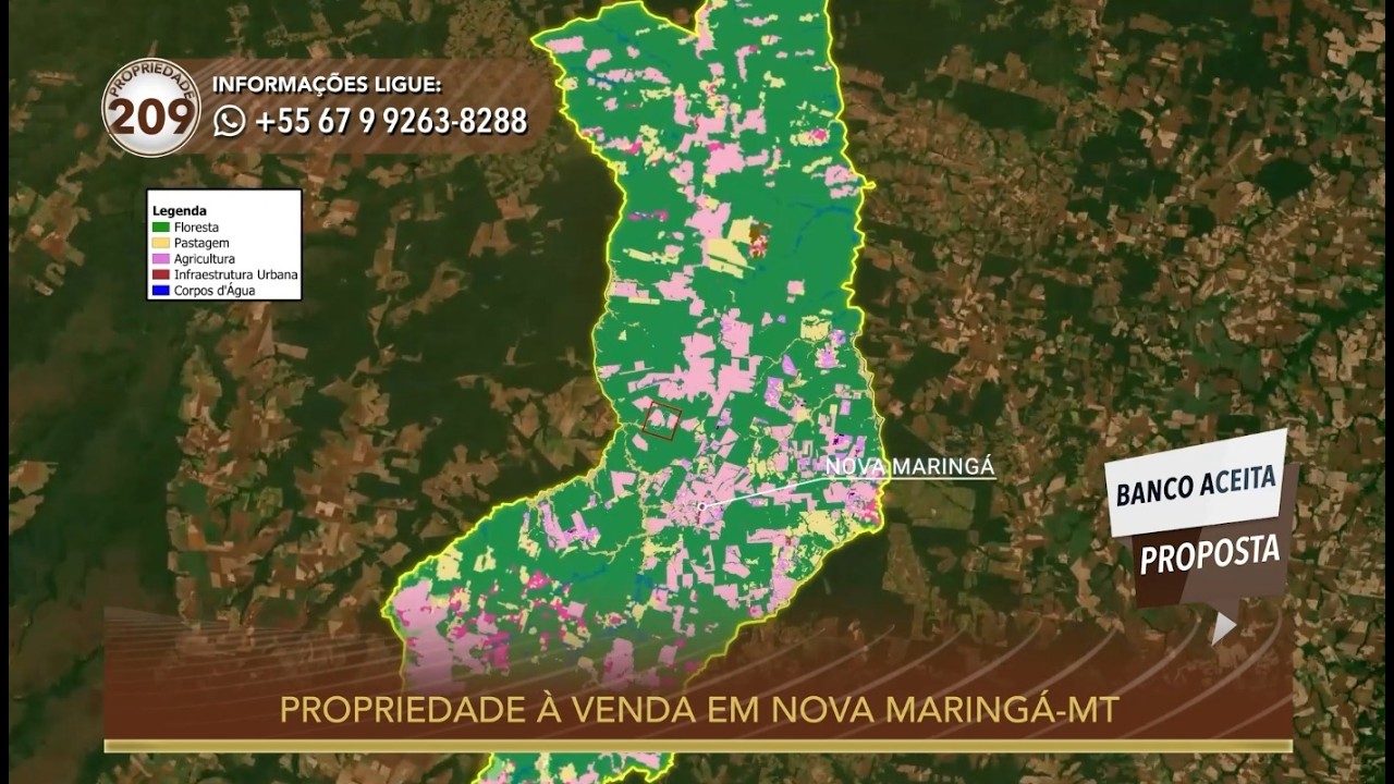 Terralmo 209: Fazenda à venda em Nova Maringá/MT
