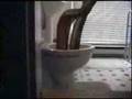 Toilet tentacles