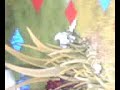 Dofus en musique