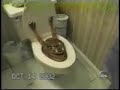 Videos Graciosos