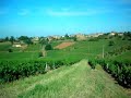 Beaujolais Wine Region