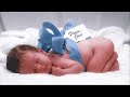aborto stop abortion