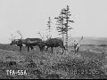Alaskan Adventures 1926 Alaskan Adventures 1926